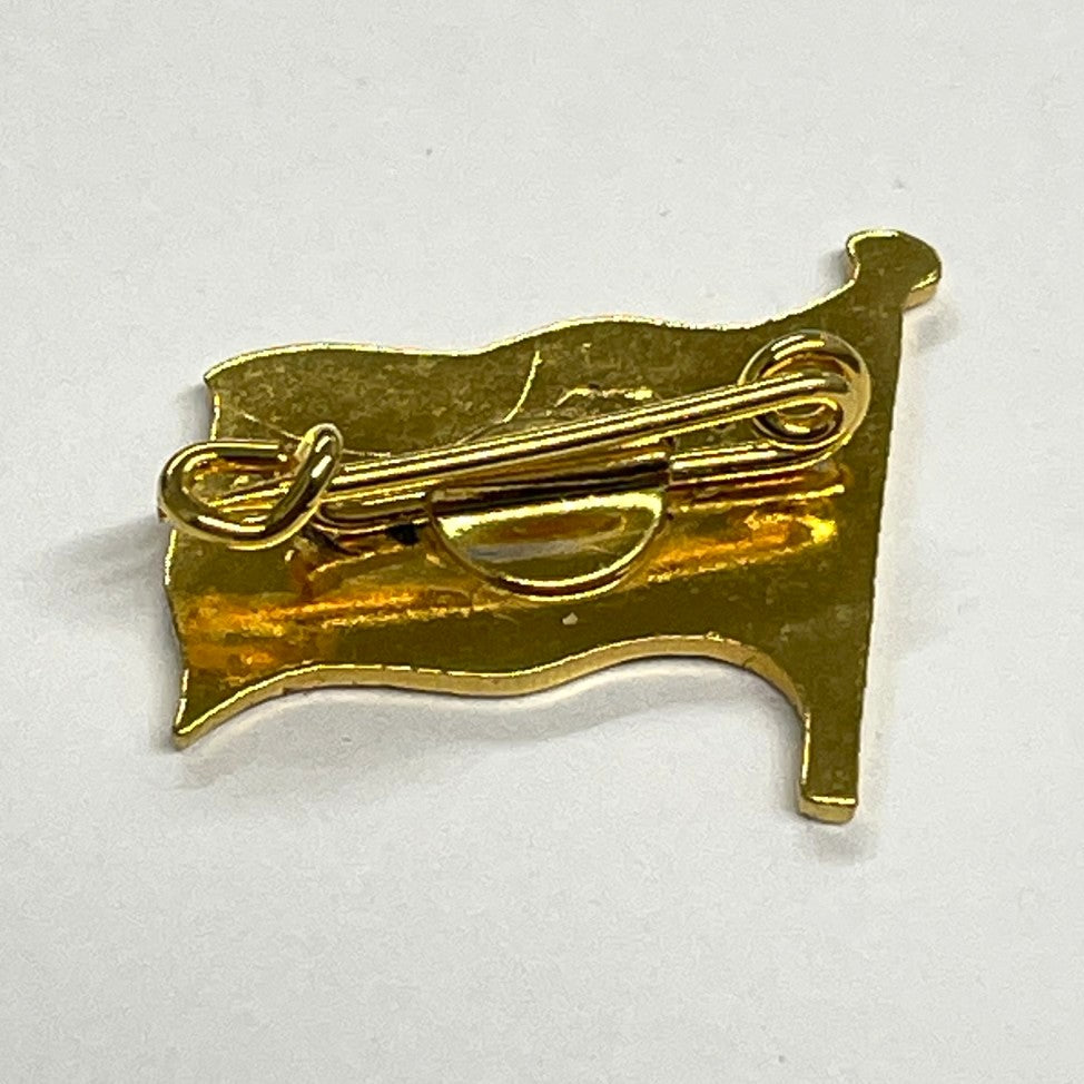 Brazil Flag Enamel Clasp Pin Badge