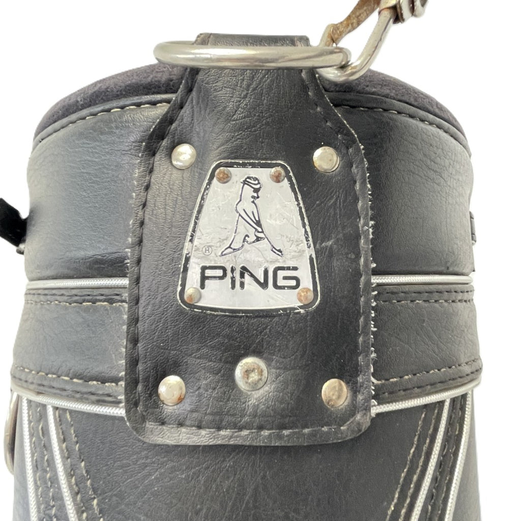 Vintage PING Tour Bag
