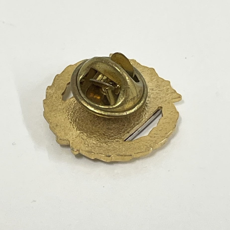 Dominican Republic Pin Badge