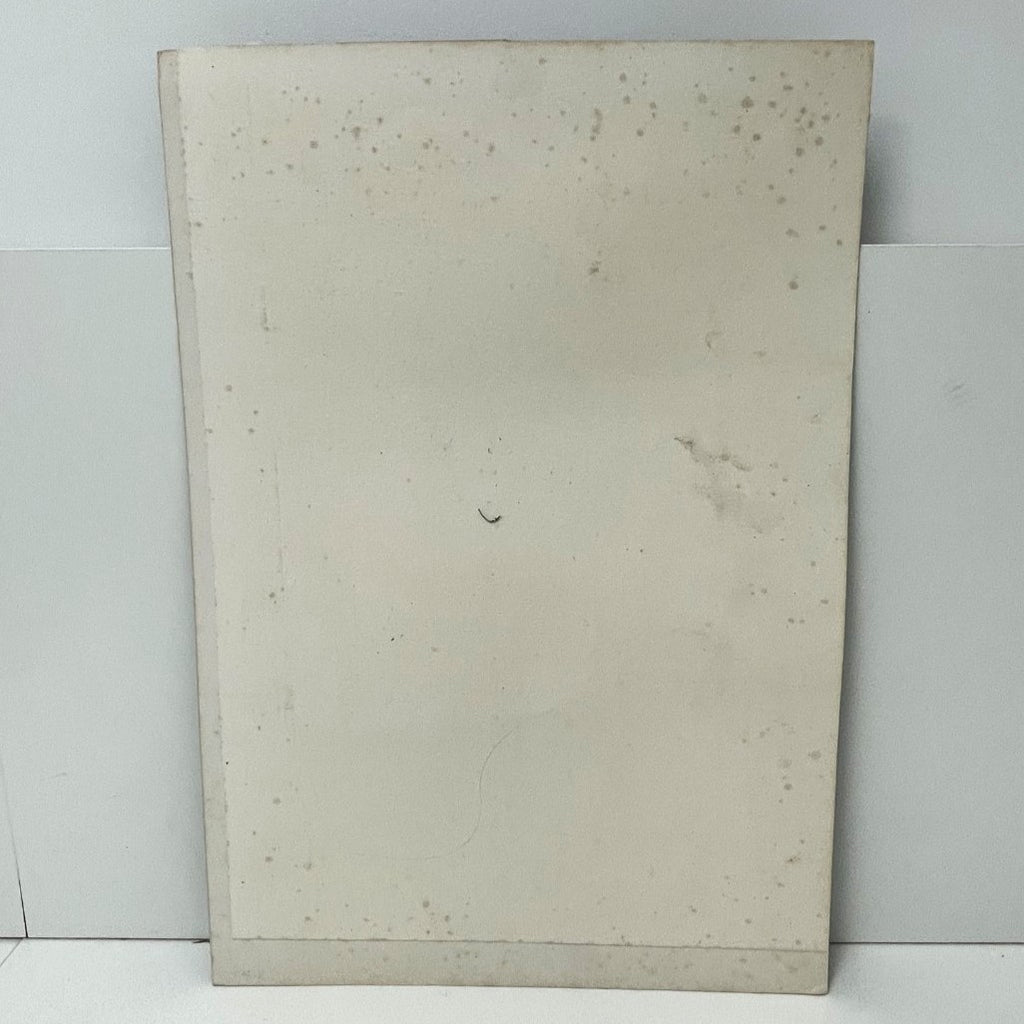 A Vanity Fair Lithographic Print - "Mr. John Ball jun." by Prosperi, Liberio